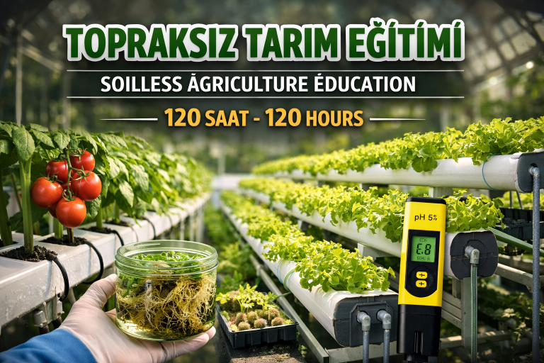 Topraksız%20Tarım%20Eğitimi%20(120%20Saat)